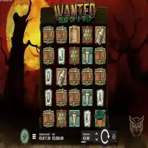 Wanted Dead or a Wild 